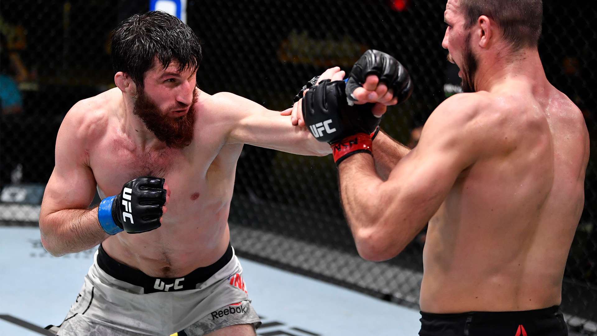 并非小数目 并非小数目